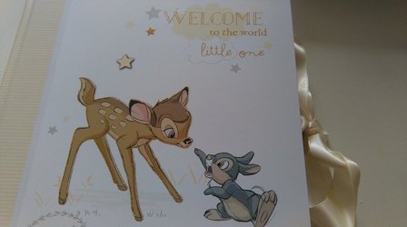 Bambi met Stampertje