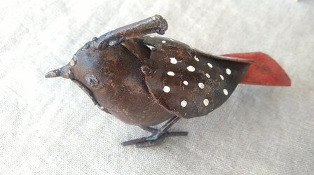 Vogeltje met kuif