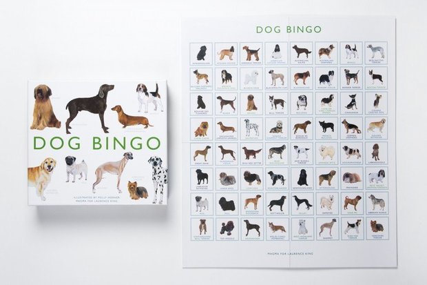 bingo hond