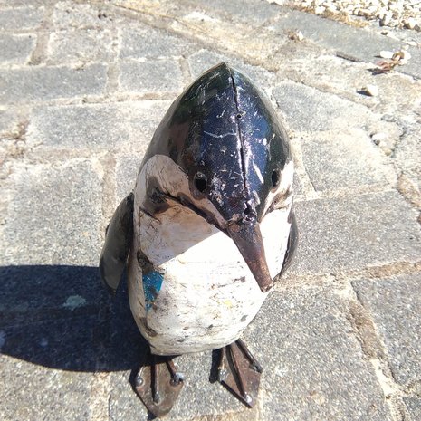 Pinguin groot