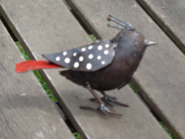 Vogeltje met kuif